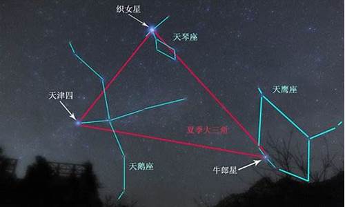 牛郎星是哪个星座-牛郎星是哪个星座的主星